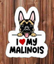 Load image into Gallery viewer, I LOVE MY MALINOIS | Vinyl Sticker (2 OPTIONS)
