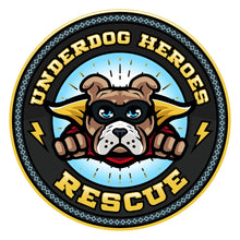 Load image into Gallery viewer, Underdog Heroes Rescue Logo-UNISEX | Dark Gray Hoodie