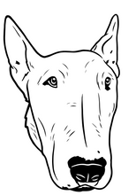 Load image into Gallery viewer, Custom Design