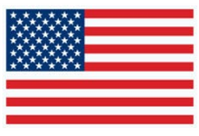 Load image into Gallery viewer, Add on: American Flag (left sleeve)
